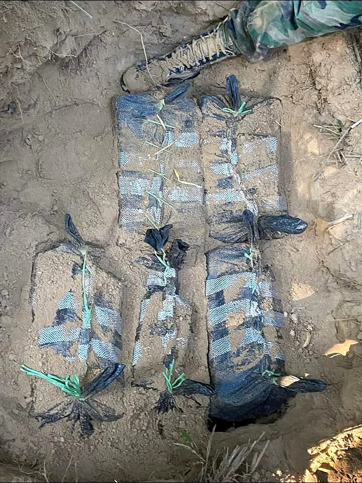 Encontraron una fosa camuflada con tierra y hierbas que contenía cinco bolsas de yute con paquetes en forma de ladrillo.